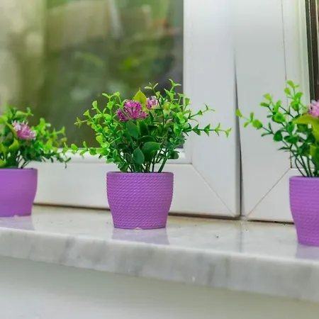 Apartments Buki Драмаль